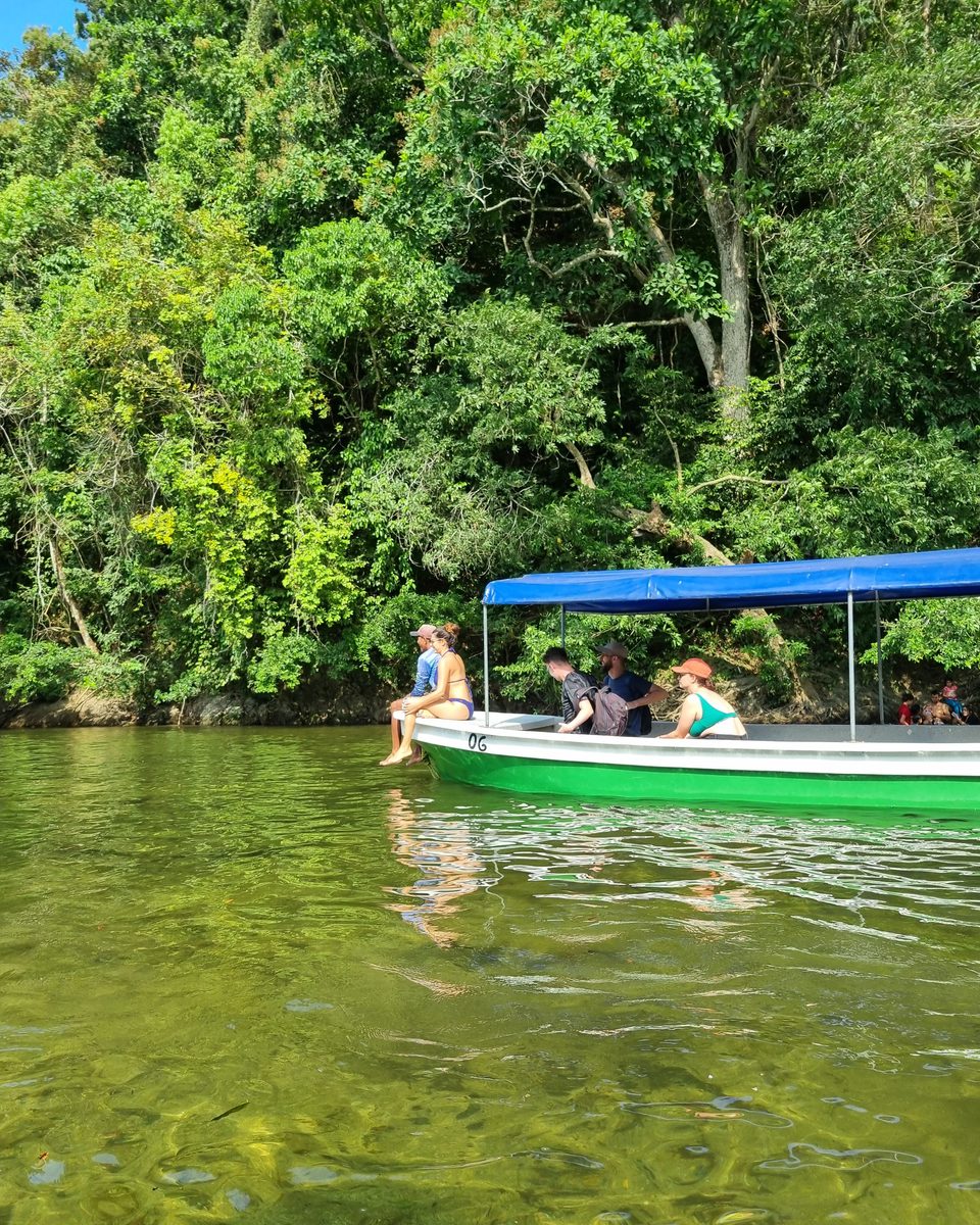 Imagick optimisé q82