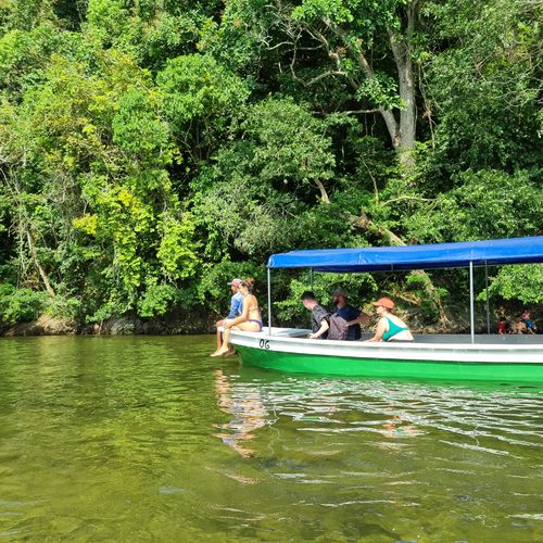 Imagick optimisé q82