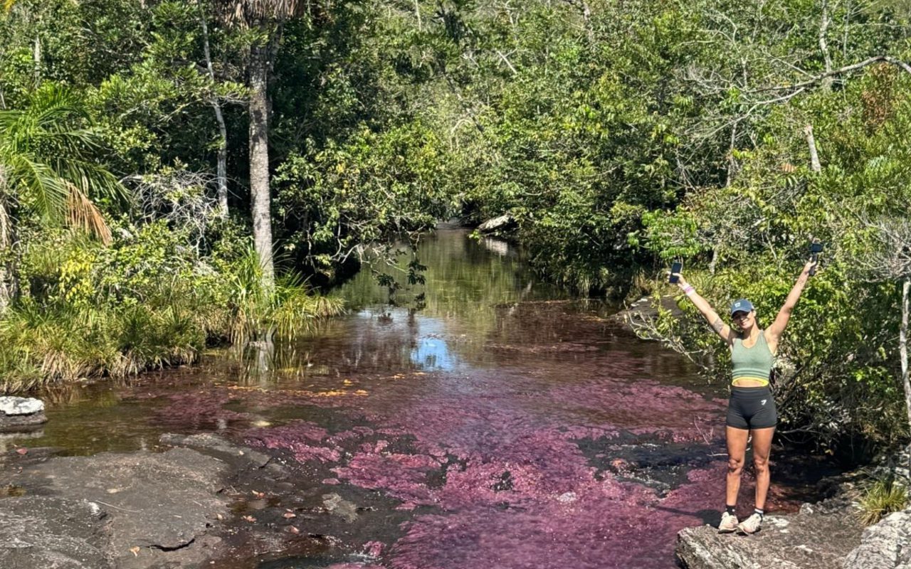 Imagick optimisé q82