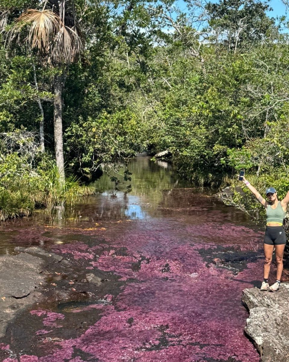 Imagick optimisé q82