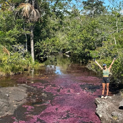 Imagick optimisé q82