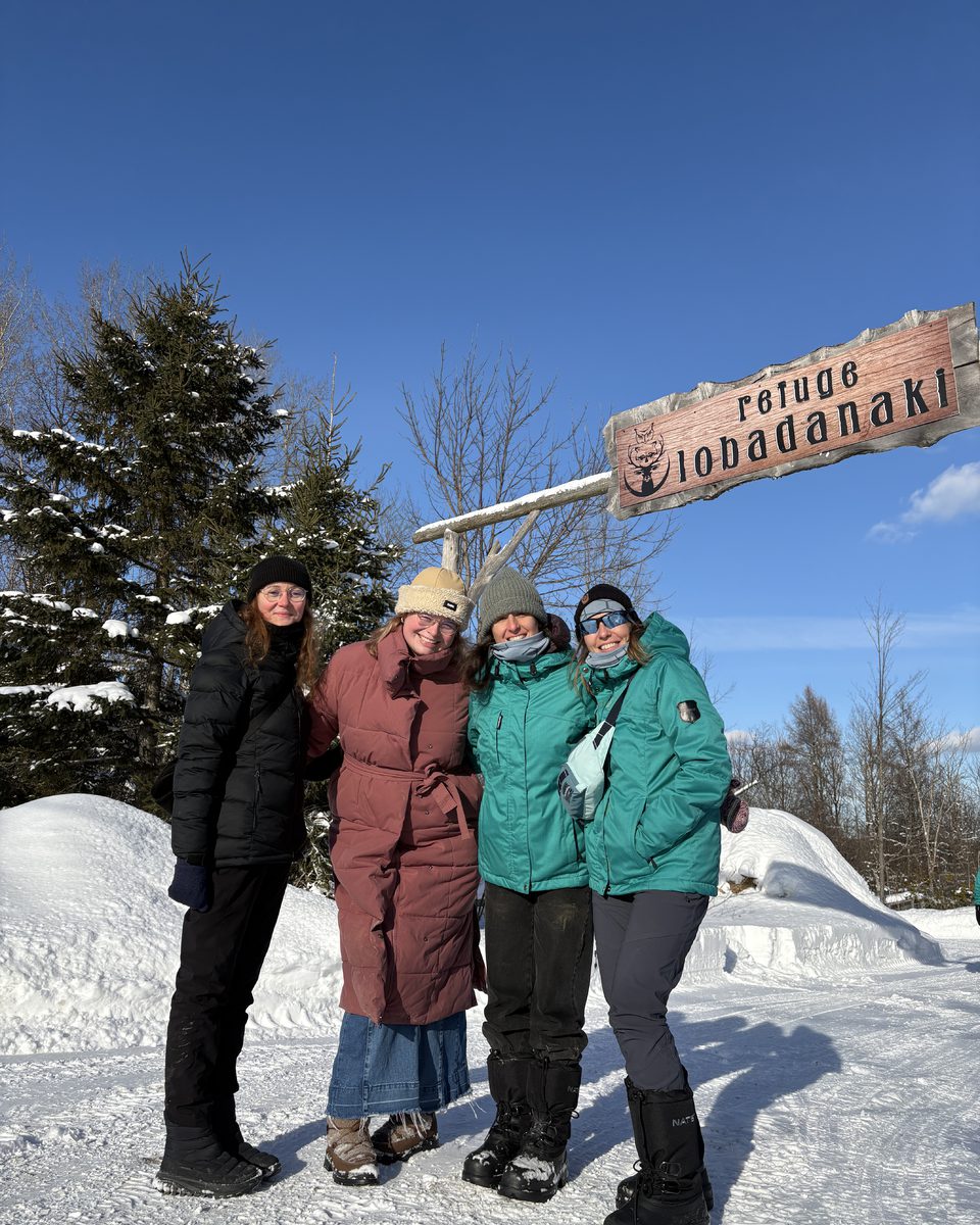 Imagick optimisé q82