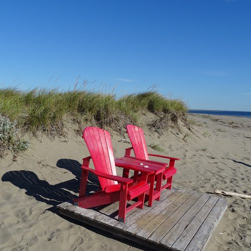 Imagick optimisé q82