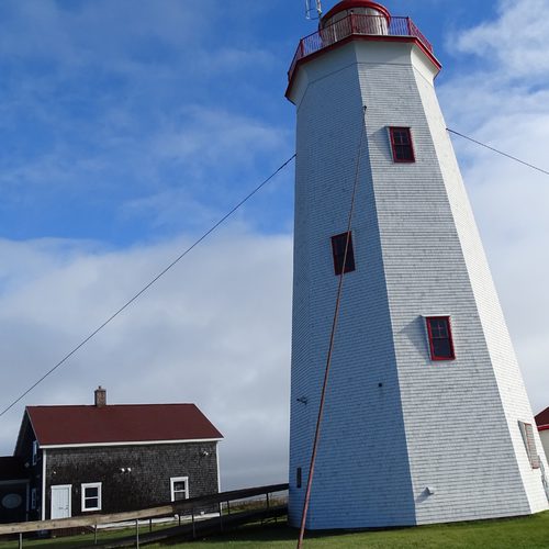 Imagick optimisé q82