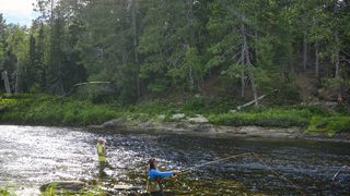 Imagick optimisé q82