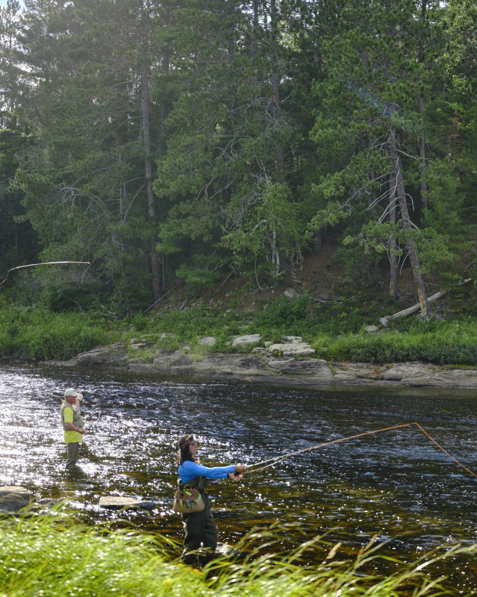 Imagick optimisé q82