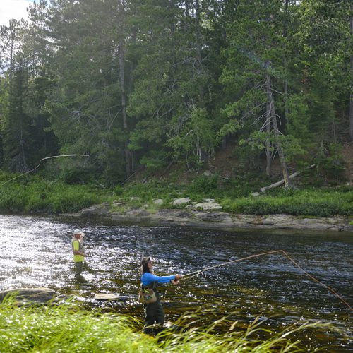 Imagick optimisé q82